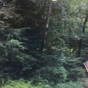 Meet your Posher, Tori